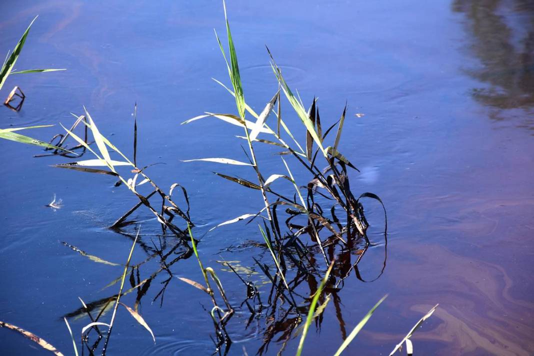 Kızılırmak'ta akaryakıt sızıntısı paniği! Yetkililer harekete geçti, kahreden görüntüler 5
